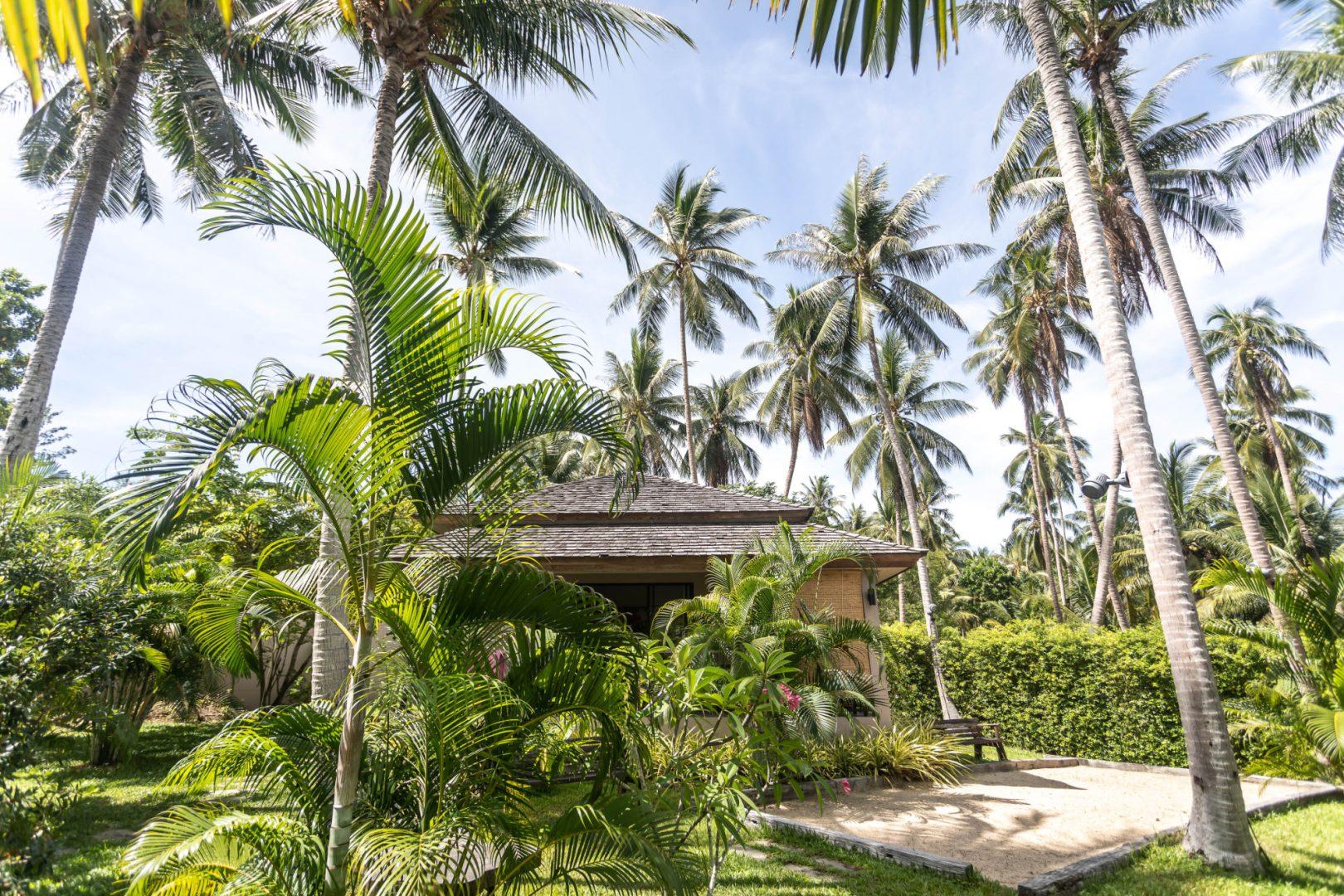 CocoCool Villas for rent in Koh Phangan with swimmingpool. Perfect for hollidays and private events.