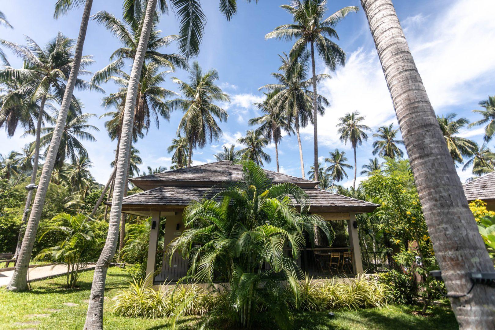 CocoCool Villas for rent in Koh Phangan with swimmingpool. Perfect for hollidays and private events.