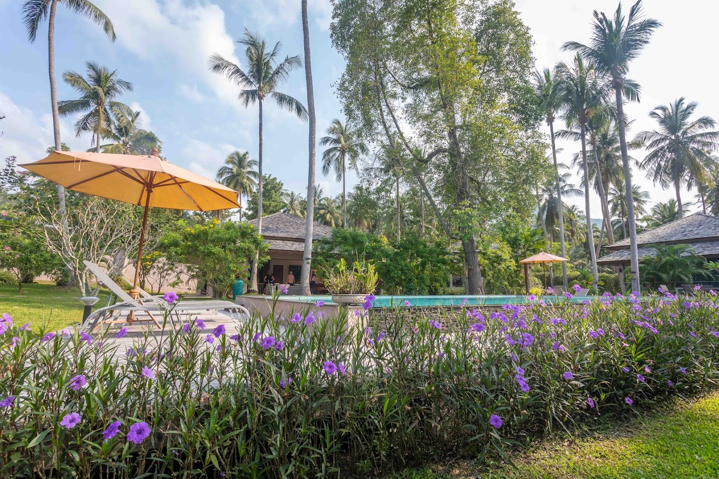 CocoCool Villas for rent in Koh Phangan with swimmingpool. Perfect for hollidays and private events.